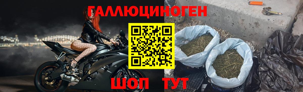 Галлюциногенные грибы Psilocybe  Псилоцибиновые грибы мухоморы  закладка  Вход с VPN  Соль-Илецк 